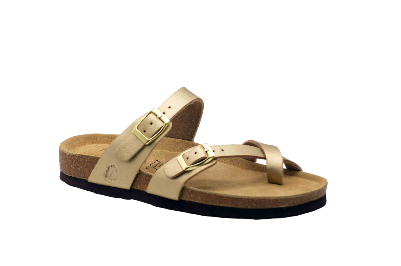 2063 | Cross flip flop